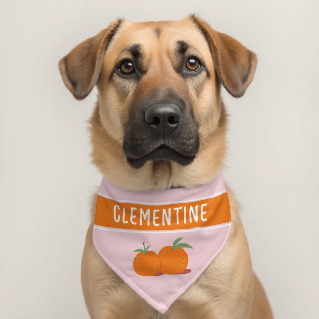 Clementine Pet Bandana Collar (Dog 2)