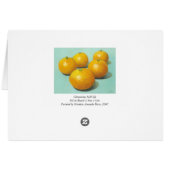 Clementines Still-life - II (Back Horizontal)