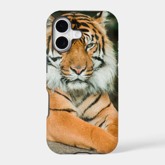 Clemson Tiger Football Cell Phone Cases and Covers