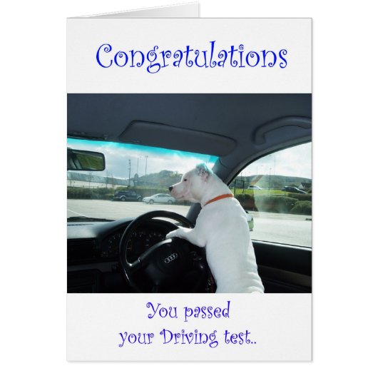 Cleo Passed Driving Test Cards (Front)