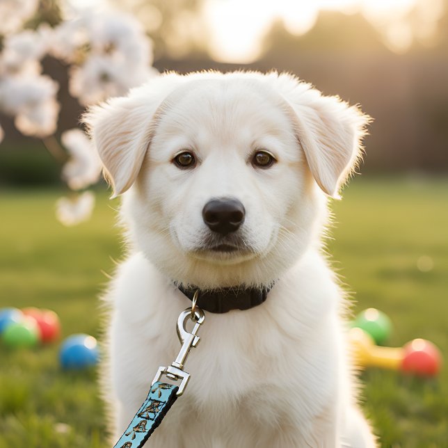 Cleo Pet Leash (Creator Uploaded)