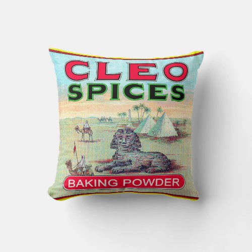 Cleo Spices Pillow