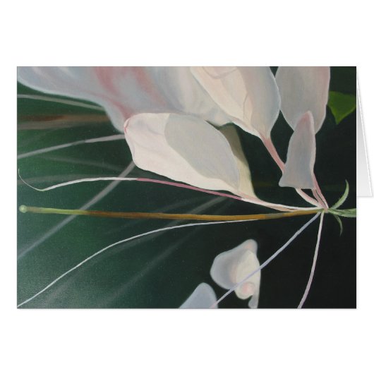 Cleome Cards (Front Horizontal)