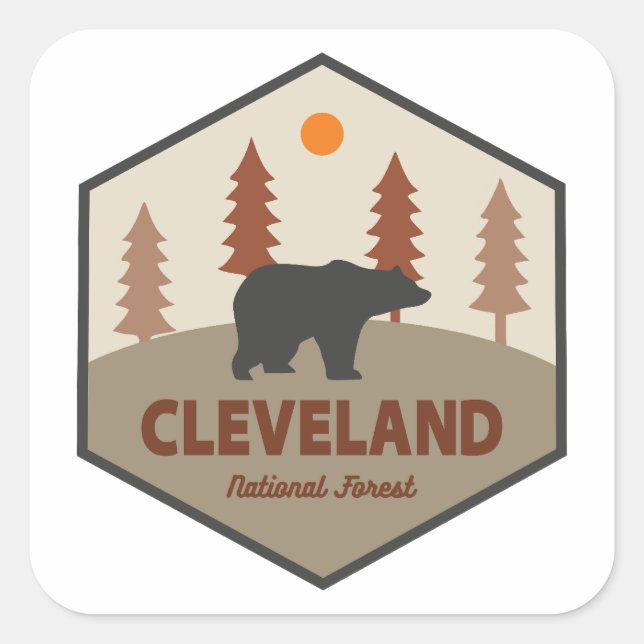 Cleveland National Forest Bear Square Sticker (Front)