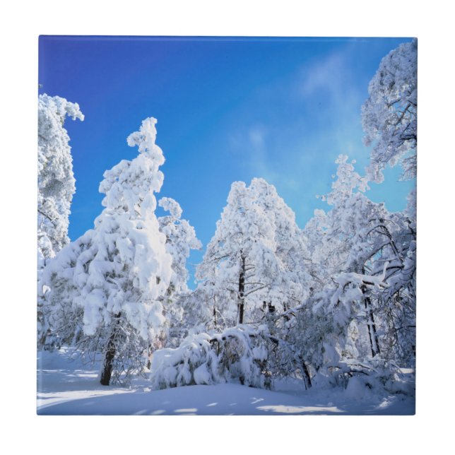 Cleveland National Forest Ceramic Tile (Front)