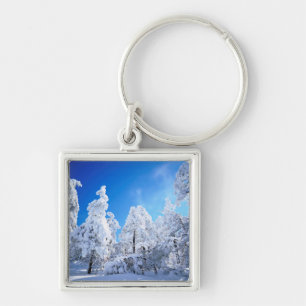 Cleveland National Forest Keychain