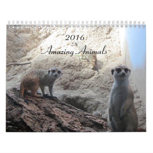 Clever Animals Calendar