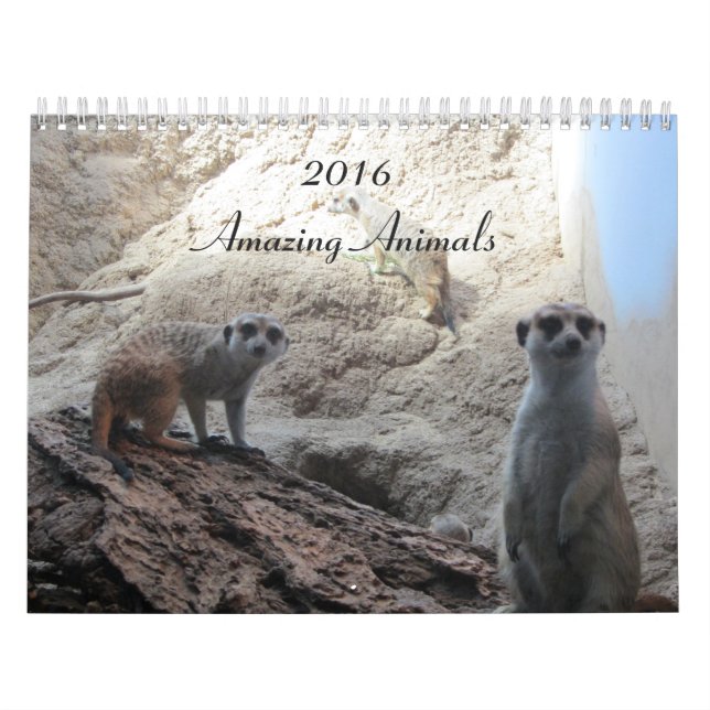 Clever Animals Calendar (Cover)