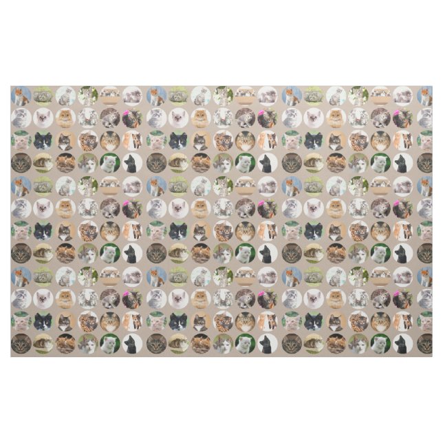 Clever Cats Fabric (Fat Quarter)