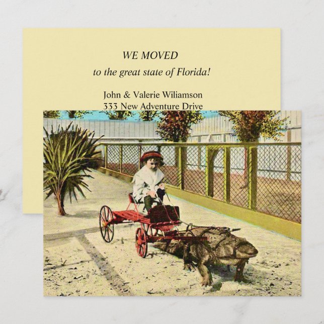 Clever Florida Alligator Moving Announcement (Front/Back)