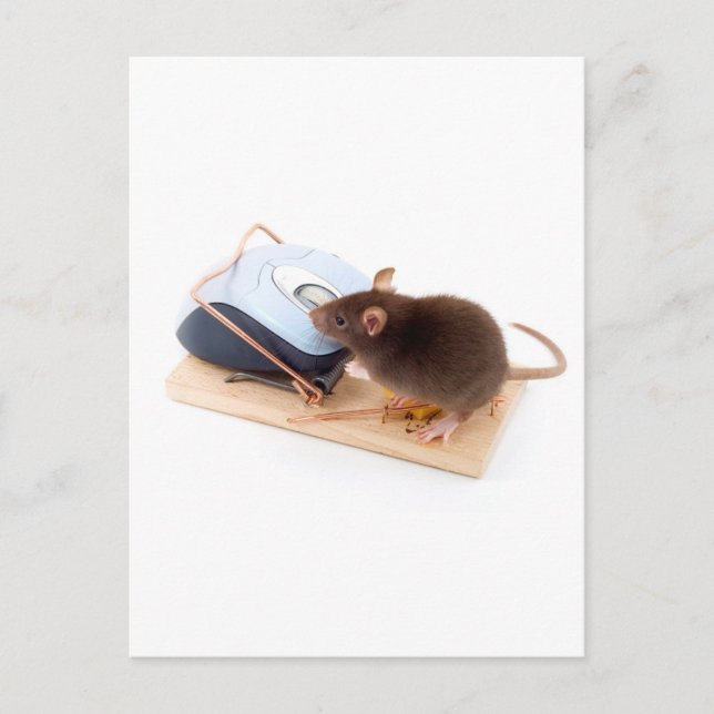 Clever Mouse Postcard (Front)