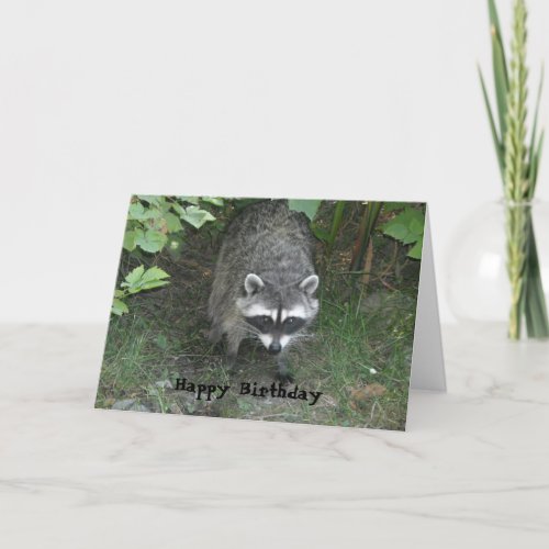 Clever Raccoon Birthday Greeting Card
