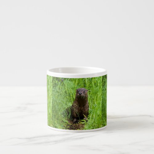 Clever River Otter Espresso Cup