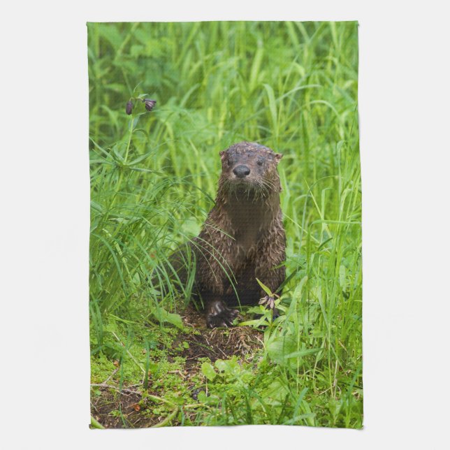 Clever River Otter Kitchen Towel (Vertical)