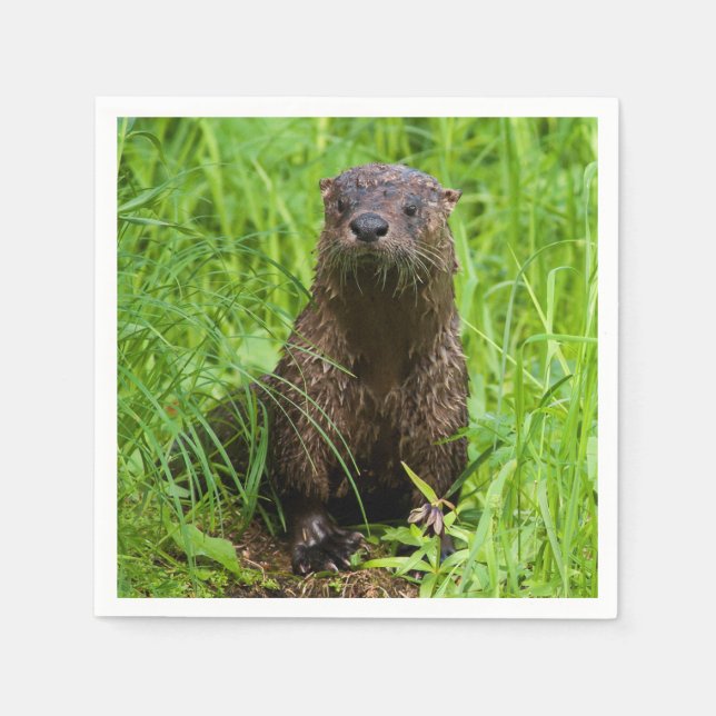 Clever River Otter Napkins (Front)