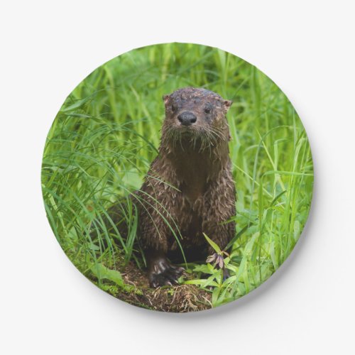 Clever River Otter Paper Plates