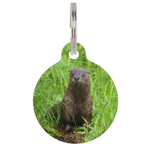 Clever River Otter Pet ID Tag