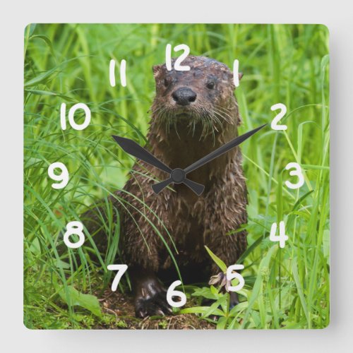 Clever River Otter Square Wall Clock