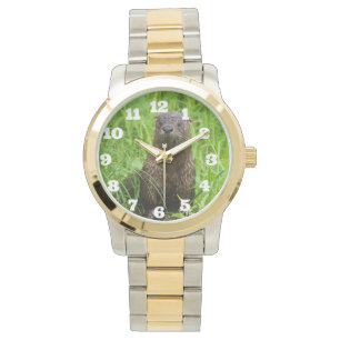 Clever River Otter Watch