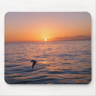 Click & captured mouse pad