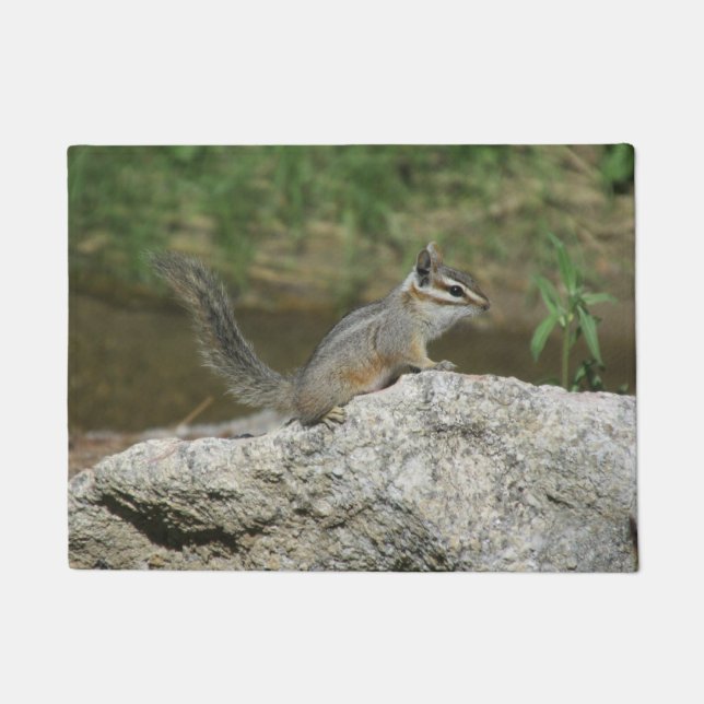 Cliff Chipmunk Doormat (Front)