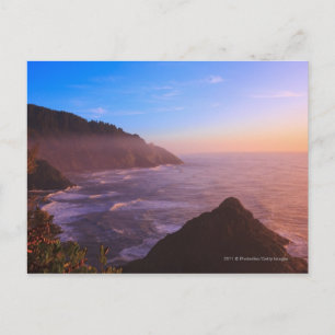 Cliff Coastal View In Oregon at Sunset Postcard
