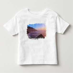 Cliff Coastal View In Oregon at Sunset Toddler T-shirt