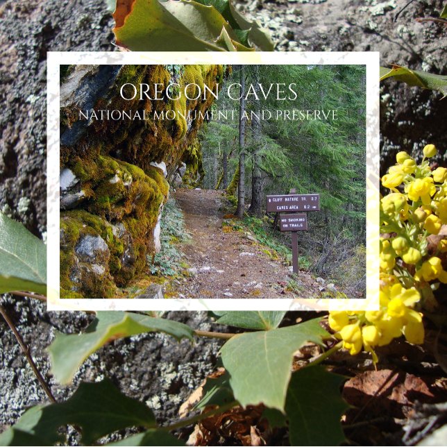 Cliff Nature Trail Trailhead, Oregon Caves, Oregon Postcard (Creator Uploaded)