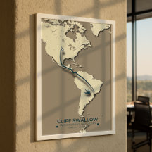 Cliff Swallow Migration Map – Minimalist Vintage