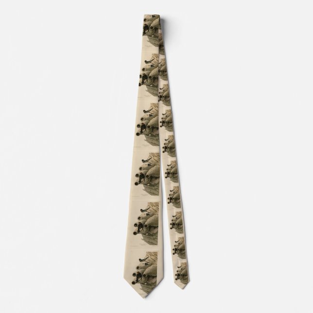 Cliff Swallow Republican Audubon Birds of America Neck Tie (Front)