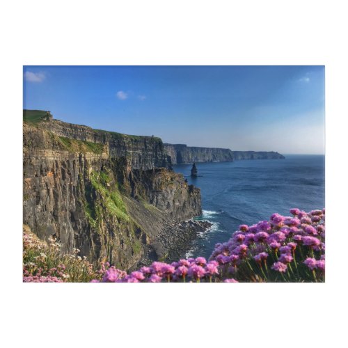 Cliffs of Moher Ireland Acrylic Wall Art