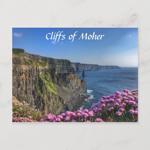 Cliffs of Moher Ireland Flowers Postcard