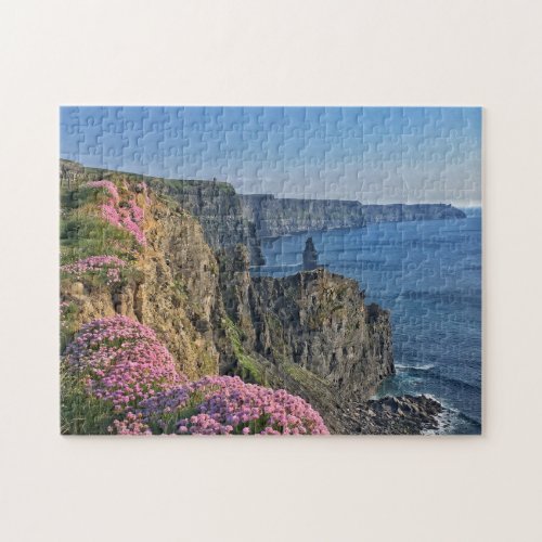 Cliffs of Moher Pink Flowers Ireland Puzzle