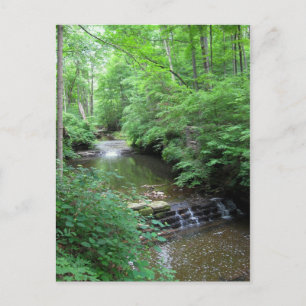 Clifty Falls Creek Postcard