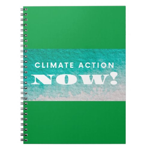 Climate Action Now Environment Notebook