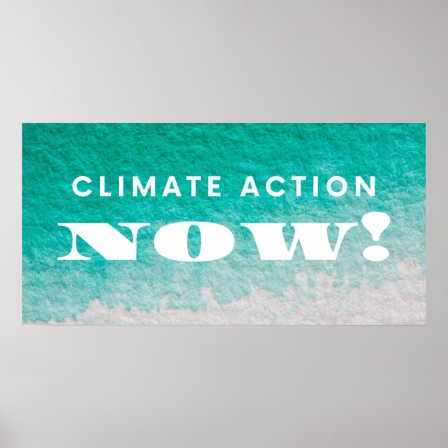 Climate Action Now Environmental Activism Poster (Front)
