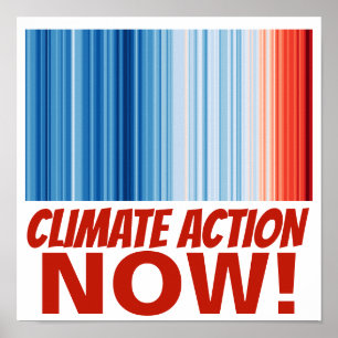 Climate Action NOW! Global Warming Environment Poster