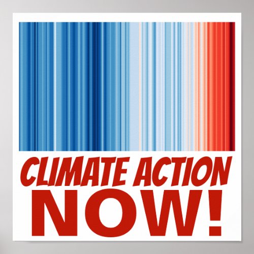 Climate Action NOW Global Warming Environment Poster