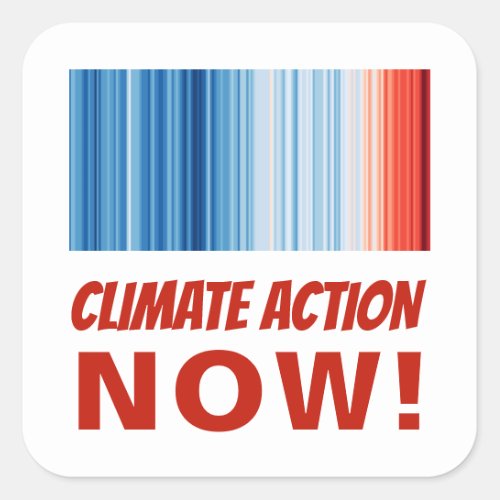 Climate Change Action Now Global Warming Stripes Square Sticker