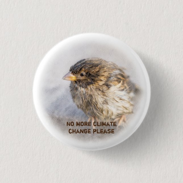 Climate change awareness pinback button (Front)