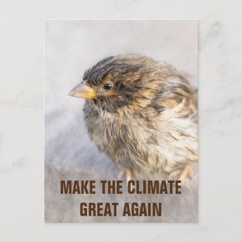 Climate change awareness postcard