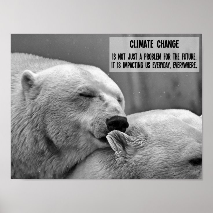 Climate change black and white with polar bears poster | Zazzle