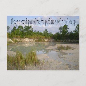 Climate Change Environmental Warning Postcard by Rebecca_Reeder at Zazzle