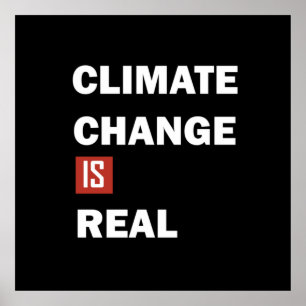 climate change is real poster