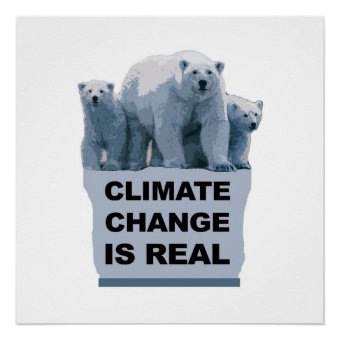 Climate Change Is Real Poster 