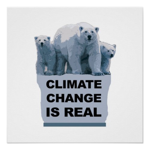 Climate Change is Real Poster