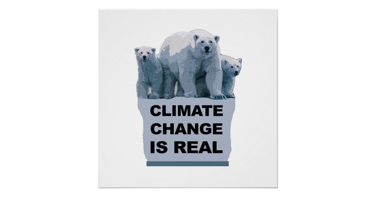 Climate Change is Real Poster | Zazzle