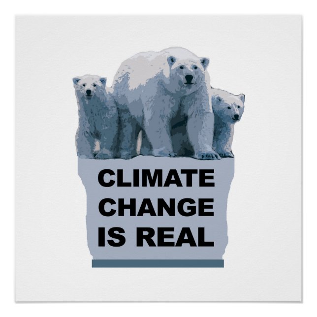 Climate Change is Real Poster (Front)
