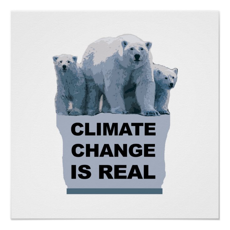 Climate Change is Real Poster | Zazzle