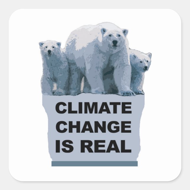 CLIMATE CHANGE IS REAL SQUARE STICKER (Front)